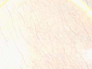 antonellarusso webcam