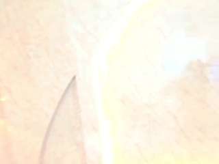antonellarusso