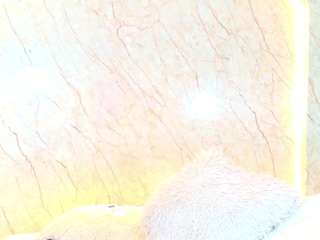 antonellarusso