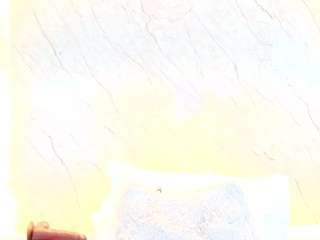 Antonella live webcam show
