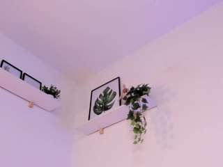 niicoleanders