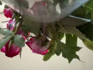 Live webcam model iambaldheadbrittany on Soda Cams