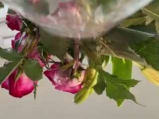 Live webcam model iambaldheadbrittany on Soda Cams