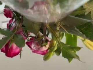 Live webcam model iambaldheadbrittany on Soda Cams