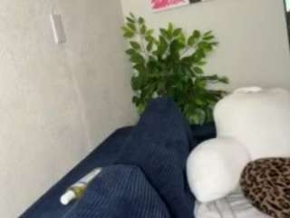 iambaldheadbrittany webcam