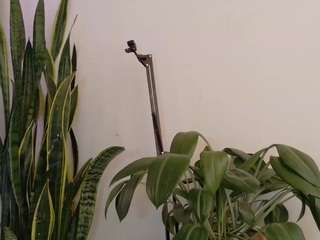 cassandraandrews webcam