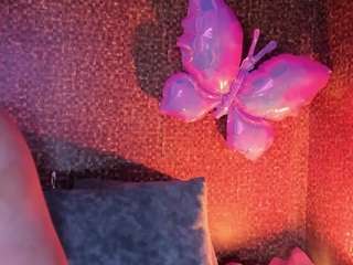 Apartment 28 live cam
