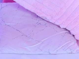 snowwhithe webcam model