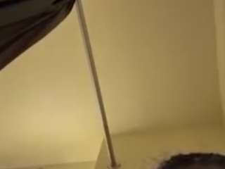 sinsationalkitty webcam