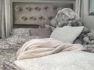 nuana webcam