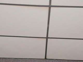 eva-benely webcam