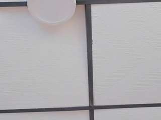 eva-benely webcam