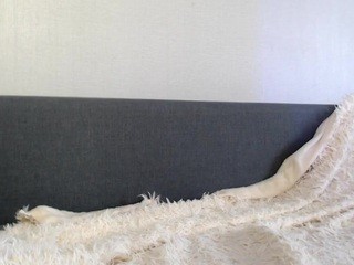 emilymilly Porn