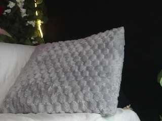 ingaiden webcam