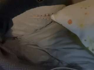 scheherazadex