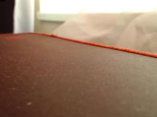 Live stream of foxy-way