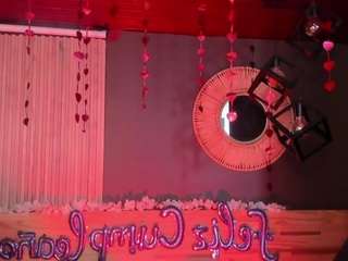 valneeko webcam model