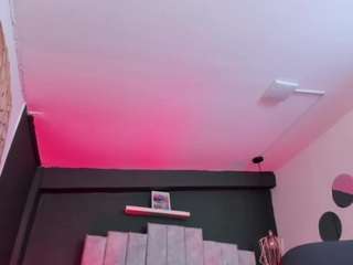 valneeko webcam