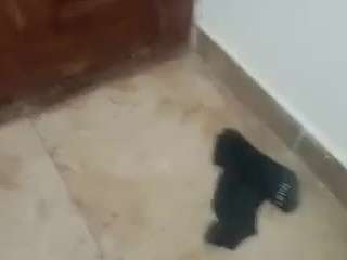 elpajaroquemamar... Live Webcam on CamSoda