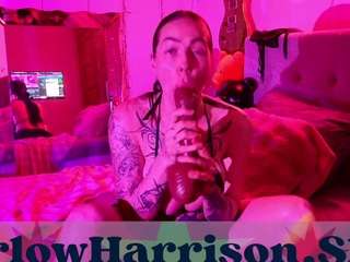 harlowharrison