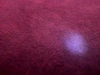  jesica-simpson chat room