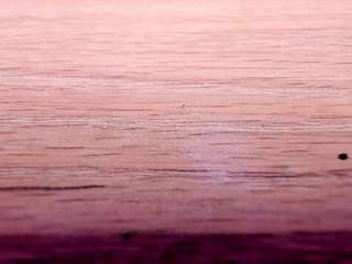 jesica-simpson webcam