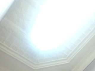 amazing-shazz live cam profile