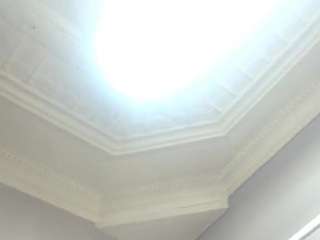 amazing-shazz webcam