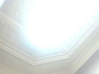 amazing-shazz