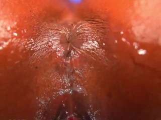 ox-lemon webcam