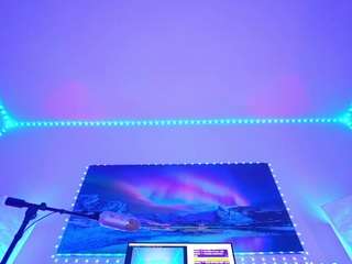 ox-lemon webcam model