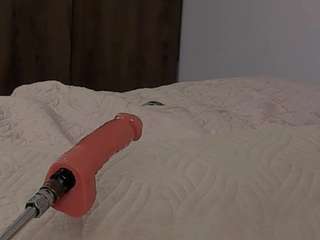 stormy-butty1 webcam