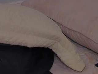 stormy-butty1 webcam