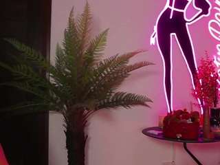 cumshow-Tonight I
