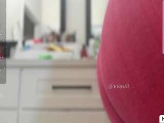 vesaa webcam