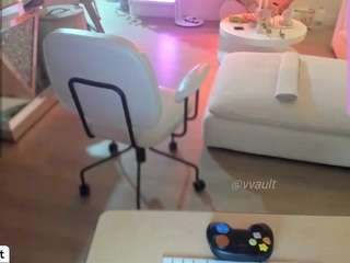 vesaa webcam model