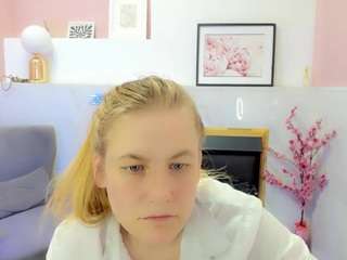jadesoft webcam model