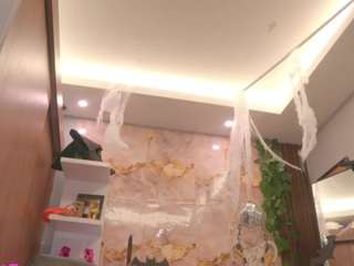  live cam preview