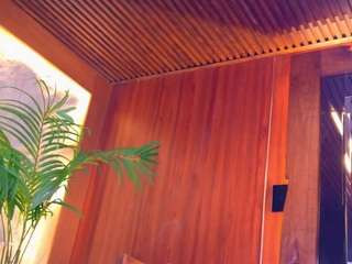 🔥CALL ME TINA$HE🔥