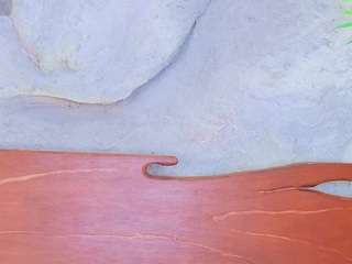 🔥CALL ME TINA$HE🔥