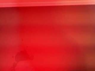 black-rosse1