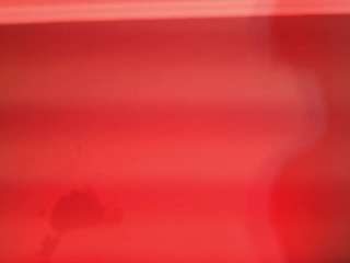 BLACK-ROSSE1