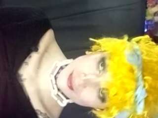 niaweber webcam model