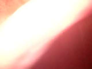 dfdavydwolfl