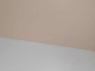 lizzaBigAss