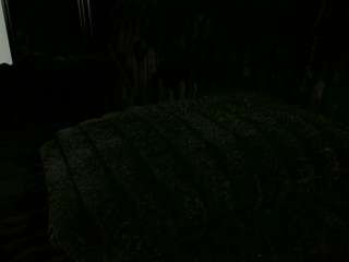 deayanicole1 from CamSoda