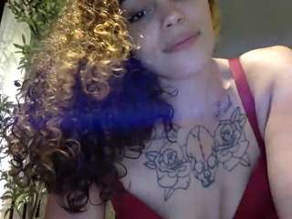 sapphirestorm8 webcam