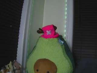 sapphirestorm8 webcam