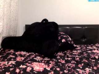 Sapphire Storm live cam