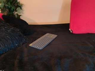 marcela-davila webcam